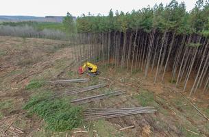 Komatsu announces purchase of forestry machine manufacturer TimberPro -  Highways Today