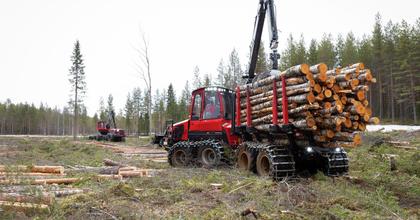 Logs loaded on Komatsu 845 forwarder in forest clearing