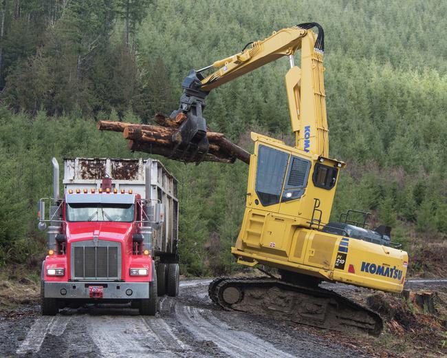 Komatsu PC210LL-10 forestry in construction site