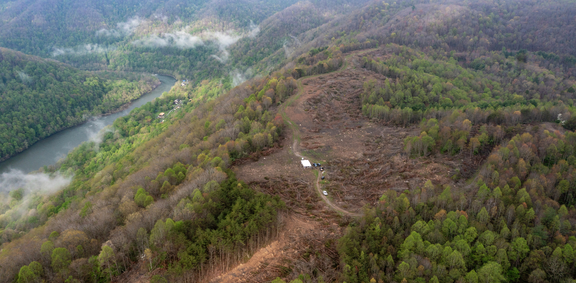 reforestation-NRG WV-DS-250422-DJI-0797.jpg
