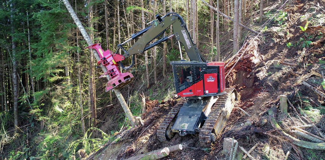 TIMBERPRO Track Feller Bunchers Forestry Equipment For Sale 1